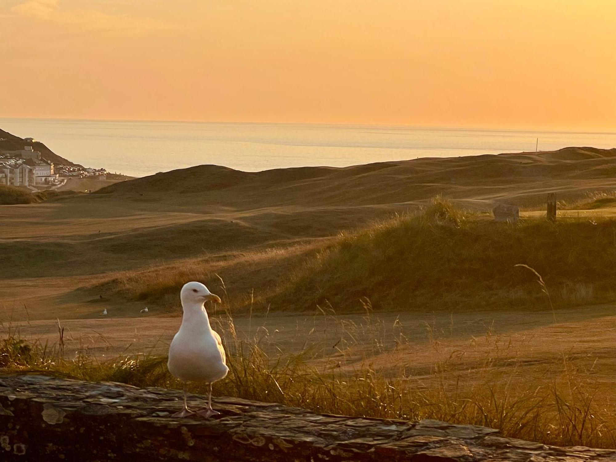 Perranporth Golf Club Self-Catering Holiday Accommodation ภายนอก รูปภาพ